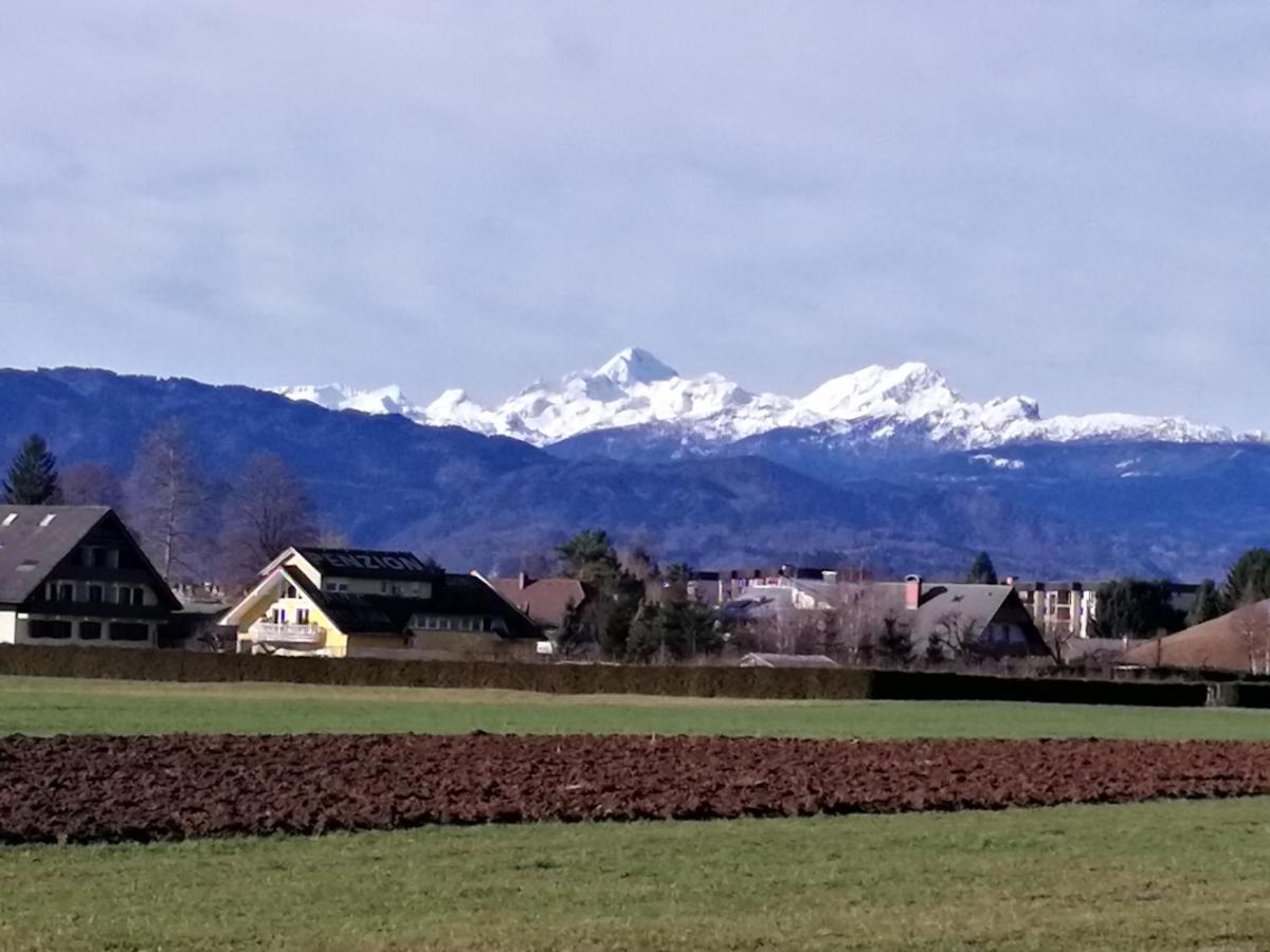 Edelweiss Apartment Radovljica Bagian luar foto
